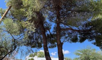 374 W Duane St, Benson, AZ 85602