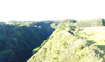 KAIWIKI HOMESTEAD RD, Hakalau, HI 96710