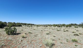 690 Westwood Rnch, Ash Fork, AZ 86320