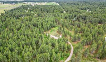 29808 N Caribou Ave, Athol, ID 83801
