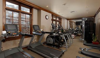 415 E Dean St Unit 10 Weeks 51 + 52, Aspen, CO 81611