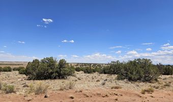 27 N 9183, Concho, AZ 85924