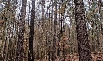 0 VENABLE Rd, Argo, AL 35173