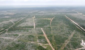 Tbd County Road 173, San Diego, TX 78332