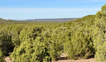 Kirkland DR 20 Acres, Concho, AZ 85924