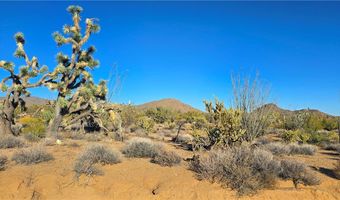 2 B S Cattle Crossing Rd, Yucca, AZ 86438