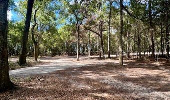 SW 20th St, Bell, FL 32619