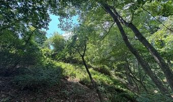 FOX RUN lot 24A 3.22 Ac, Baker, WV 26801