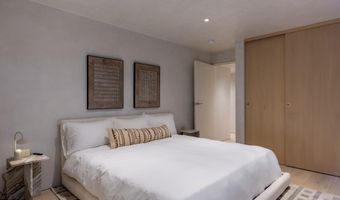 609 W Francis St, Aspen, CO 81611