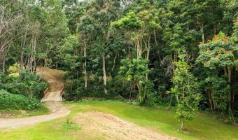 HAUIKI RD, Kapaa, HI 96746