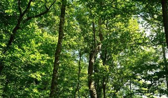 Airport Rd lot 0, Bassett, VA 24055