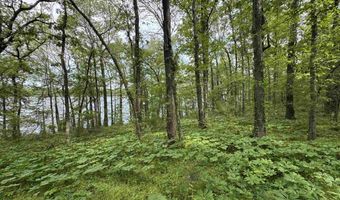 Tract 1 East Bay Road, Atkins, AR 72823