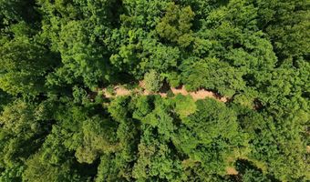 County Road 200, Alton, MO 65606
