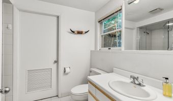 1275 Snowbunny Lane 2, Aspen, CO 81611