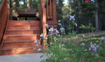398 Mountain View Dr, Black Hawk, CO 80422