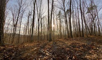 Muddy Ridge Rd, Adams, KY 41201