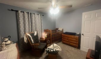 333 Blunt Ford Rd, Adolphus, KY 42120