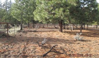 6538 Flamingo Dr, Bonanza, OR 97623