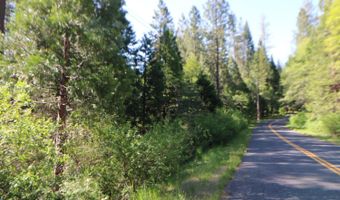 2159 Sierra Pkwy, Arnold, CA 95223
