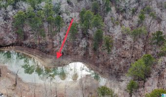 Lot 177 STONEY POINT LANDING 177, Double Springs, AL 35553