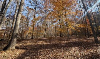 99- C Richmond Hwy, Amherst, VA 24521