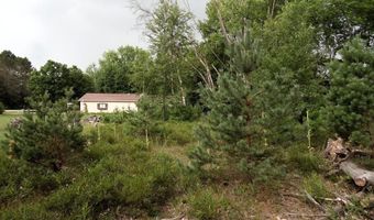 S Forest Lake, Alger, MI 48610