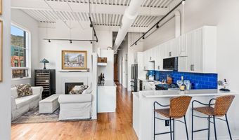 361 Robinson St 208, Basalt, CO 81621