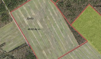 Sr 1918 Road, Aurora, NC 27806