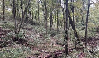 4 Salem Ridge Rd, Aurora, IN 47001