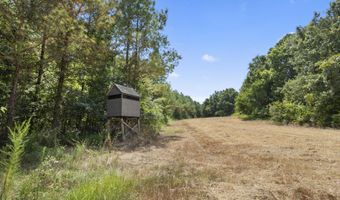 774 Davis Rd, Benton, MS 39039
