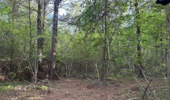 1311 N Jackson St, Brookhaven, MS 39601