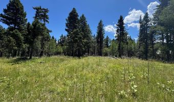 Calle de los Indios lot 73, Angel Fire, NM 87710