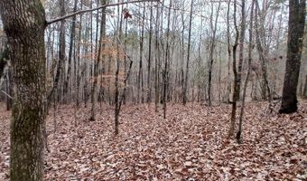 0 VENABLE Rd, Argo, AL 35173