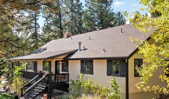 11982 Peak To Peak Dr, Allenspark, CO 80510