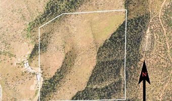 Vic Teller/Wild Country, Agua Dulce, CA 91350