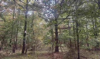 Flanagan Road, Arkadelphia, AR 71923