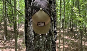 60150 N Harmony Rd, Amory, MS 38821