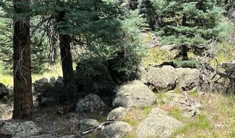 9 Buckskin Rd, Angel Fire, NM 87710