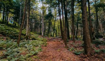 0 Weidick Rd, Andes, NY 13731