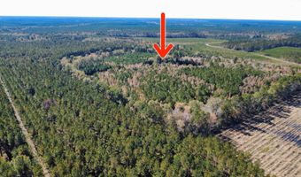 3264 Ten Acre Rd, Andrews, SC 29510