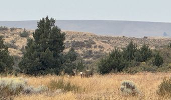 NKA Cemetery RD, Bickleton, WA 99322