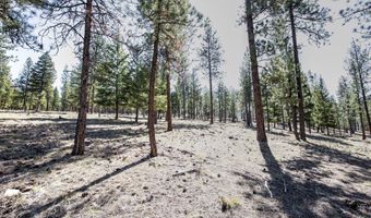 31760 HWY 10 W, Alberton, MT 59820