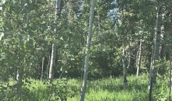 L22 CARIBOU FOREST DRIVE, Alpine, WY 83128