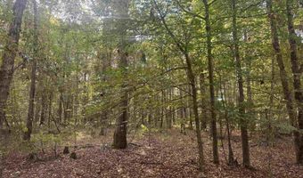 Flanagan Road, Arkadelphia, AR 71923