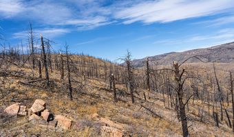 3600 Moondance Way, Bellvue, CO 80512
