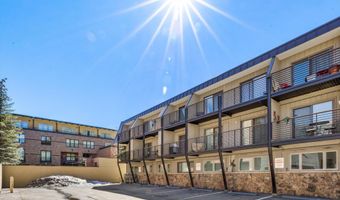 210 E Cooper Ave 1-C, Aspen, CO 81611