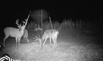 560 Th Ave, Albia, IA 52531