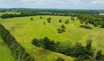 1237 AR Hwy 354, Ash Flat, AR 72513