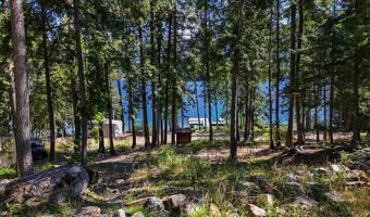 Swan Shores Lane, Bigfork, MT 59911