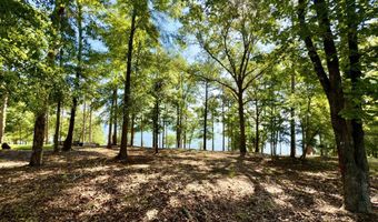 171 Lakeview Ter, Abbeville, AL 36310